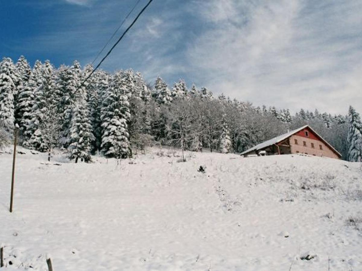 Gîte Vagney, 5 pièces, 8 personnes - FR-1-589-227 Extérieur photo